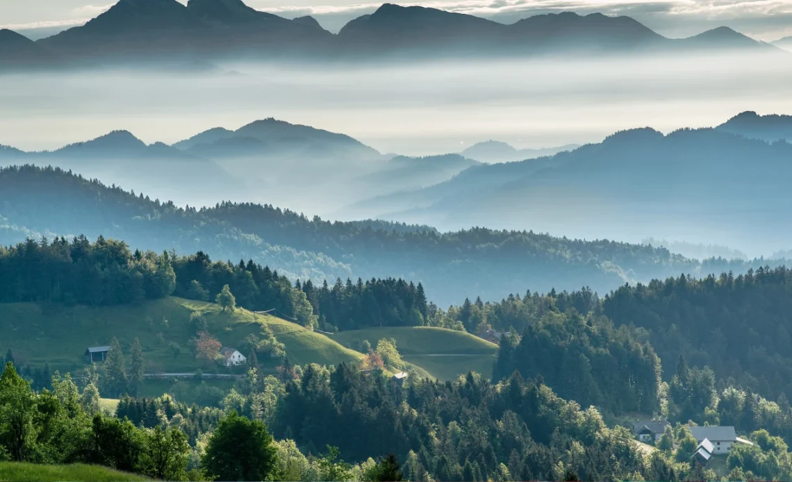 Evergreen-vs.-Timely-Content-Striking-the-Perfect-Balance-for-Your-Blog