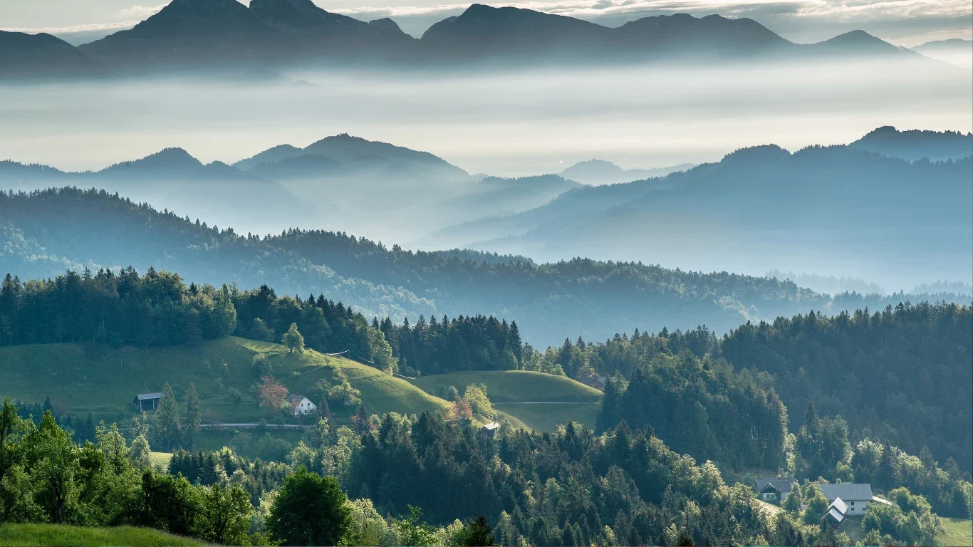 Evergreen-vs.-Timely-Content-Striking-the-Perfect-Balance-for-Your-Blog